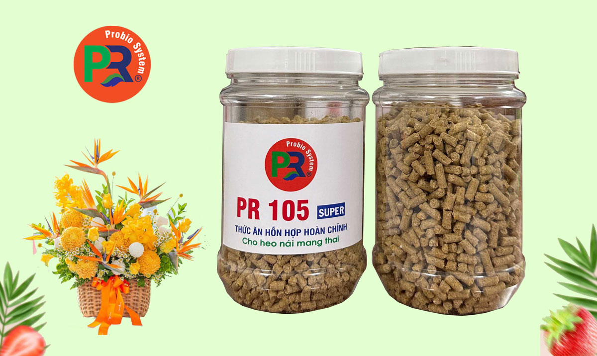 Thức ăn hỗn hợp hoàn chỉnh cho heo nái mang thai