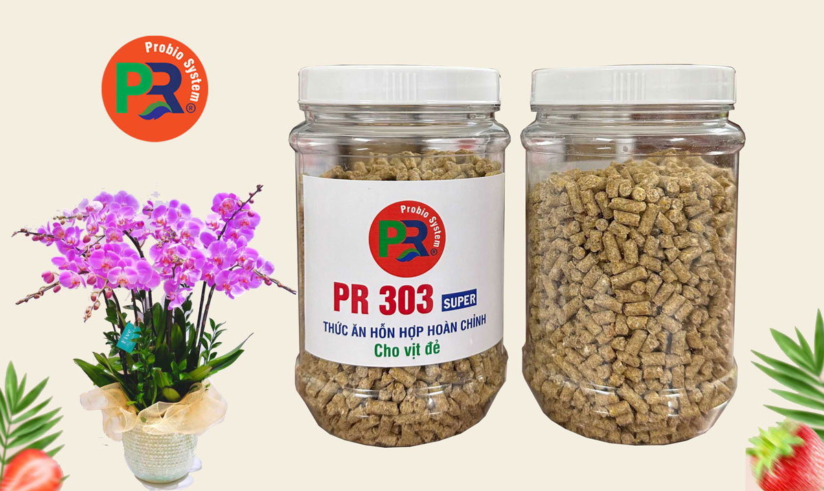 Thức ăn hỗn hợp cao cấp cho vịt đẻ